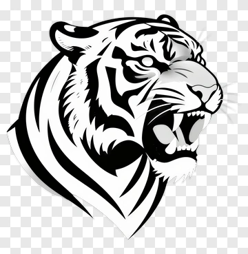 Angry Tiger Head Illustration PNG