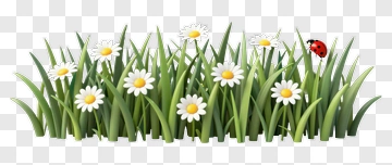 Flowering Grass With Ladybug PNG