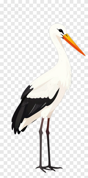 Cartoon Stork PNG