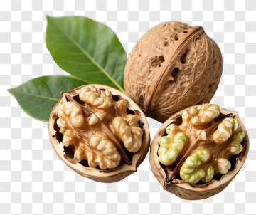 Walnuts With Green Leaves PNG