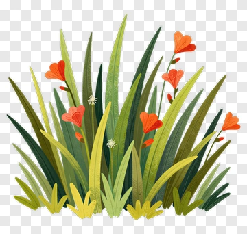 Colorful Flowering Grass PNG