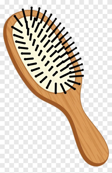 Hair Brush PNG