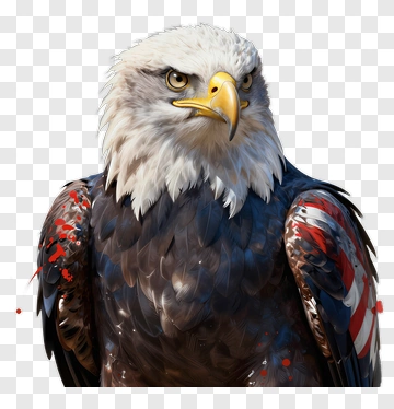 Eagle With American Flag Colors PNG
