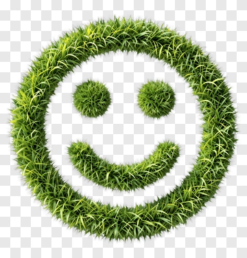 Green Grass Smiley Face PNG
