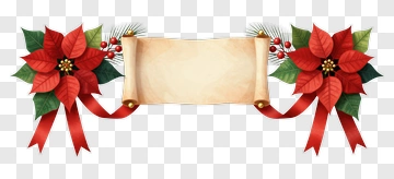 Christmas Poinsettia Decoration With Blank Scroll PNG