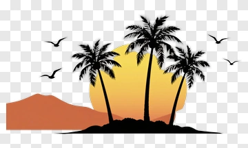Sunset Over Palm Trees PNG