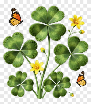 Colorful Clover Plant With Butterflies PNG