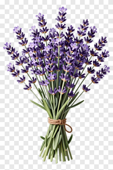 Lavender Bouquet PNG