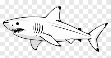 Cartoon Shark PNG