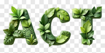 Leafy Letters Spelling Act PNG