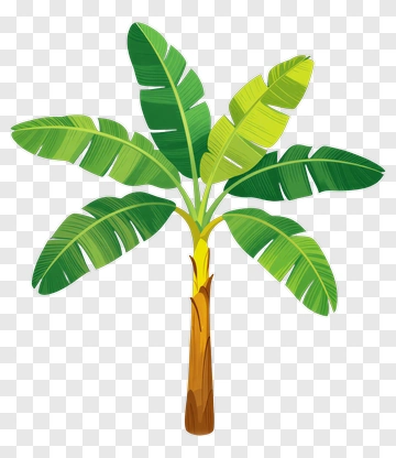 Colorful Banana Tree PNG