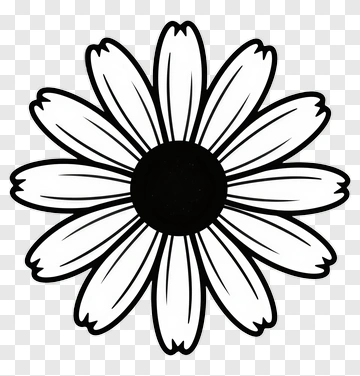 Black And White Flower Illustration PNG