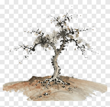 Watercolor Tree PNG