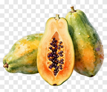 Watercolor Papaya Fruit Composition PNG