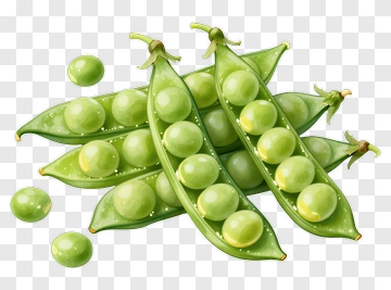 Green Peas In Pods PNG