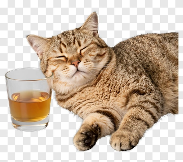 Relaxed Cat Next To A Glass Of Whiskey PNG