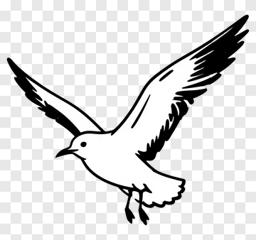 Flying Bird PNG