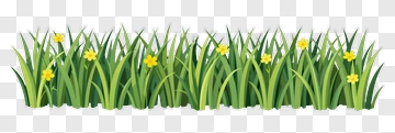 Green Grass With Yellow Flowers PNG