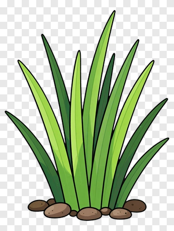 Cartoon Grass With Rocks PNG