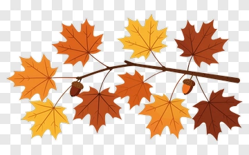 Autumn Maple Leaves On A Branch PNG