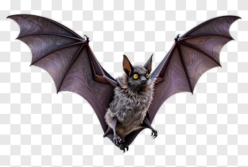 Cartoon Bat With Yellow Eyes PNG