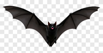Black Bat Flying PNG