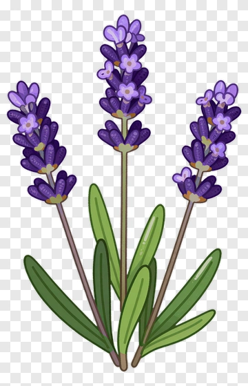 Lavender Flower Bouquet PNG