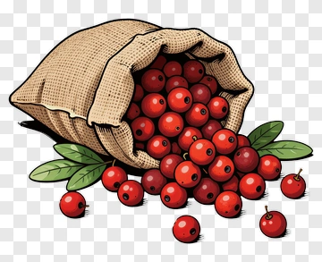 Bag Of Red Berries PNG