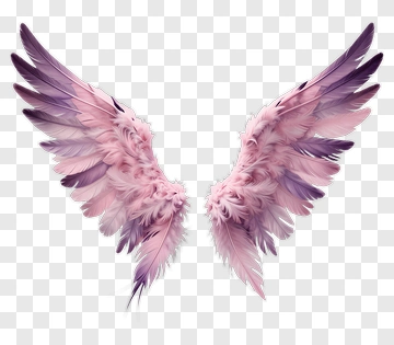 Pink Feathered Angel Wings PNG