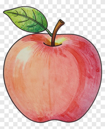 Watercolor Apple With Leaf PNG