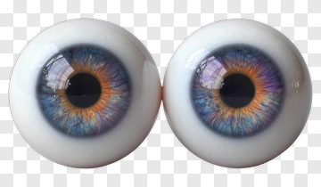 Realistic Human Eyes With Colorful Iris PNG