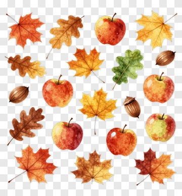 Colorful Autumn Leaves And Apples PNG