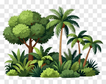 Lush Tropical Jungle Landscape PNG