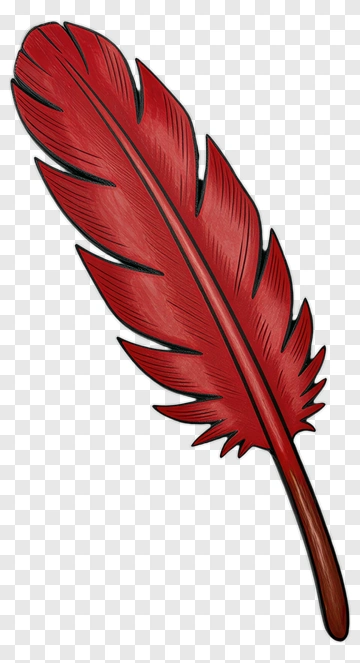 Red Feather PNG