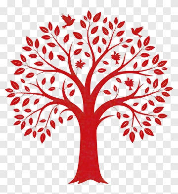 Colorful Tree With Leaves PNG