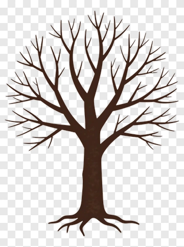 Bare Tree With Branches PNG