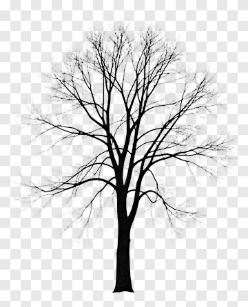 Silhouette Tree PNG