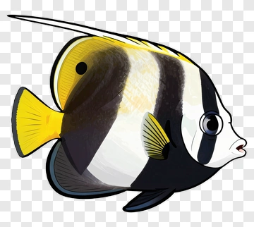Cartoon Butterfly Fish PNG