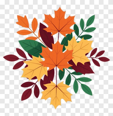 Colorful Autumn Leaves Arrangement PNG