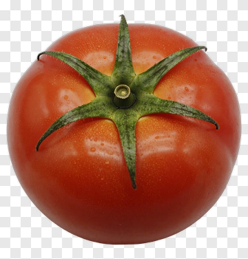 Fresh Red Tomato PNG