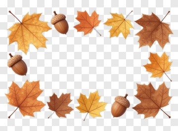 Autumn Leaves And Acorns Frame PNG