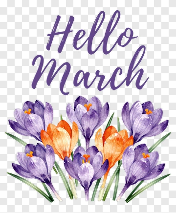 Hello March With Colorful Crocuses PNG