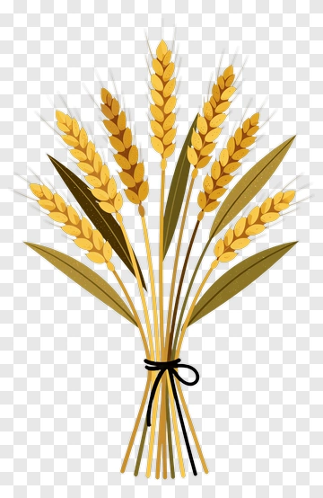 Wheat Bouquet With Green Leaves PNG