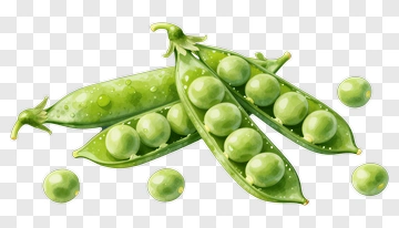 Green Peas In A Pod PNG