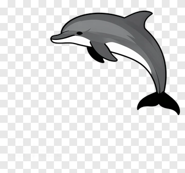 Cartoon Dolphin PNG