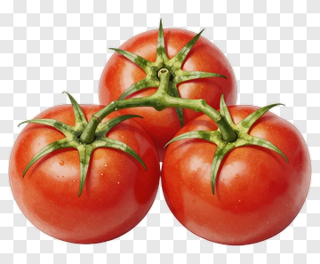 Fresh Red Tomatoes On The Vine PNG