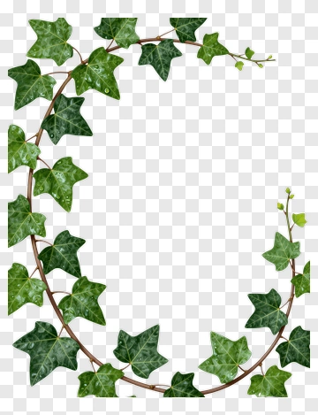 Ivy Leaf Frame PNG