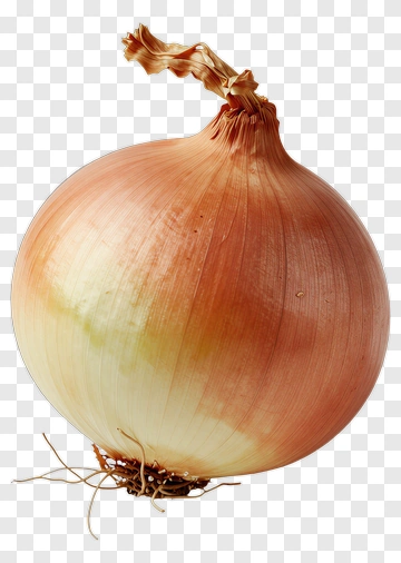 Onion PNG