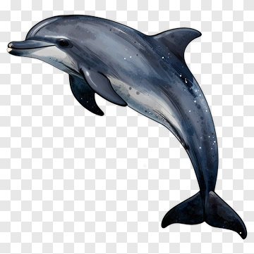 Realistic Dolphin Swimming PNG