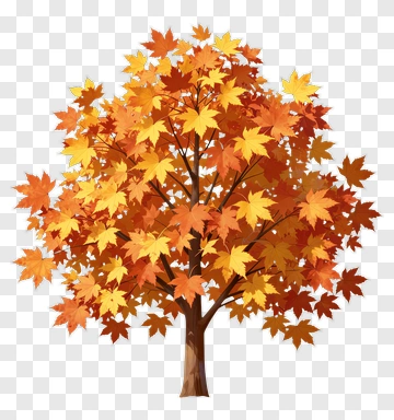 Colorful Maple Tree With Autumn Leaves PNG